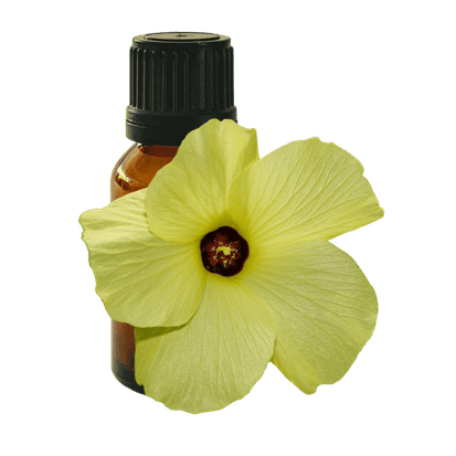 Ambrette Seed 10ml - Profound Naturals