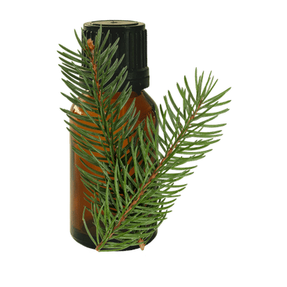 Black Spruce 10ml - Profound Naturals