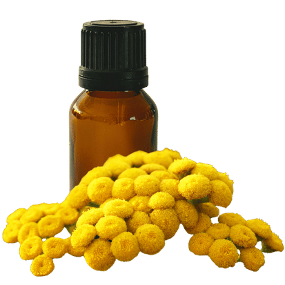 Blue Tansy 10ml - Profound Naturals