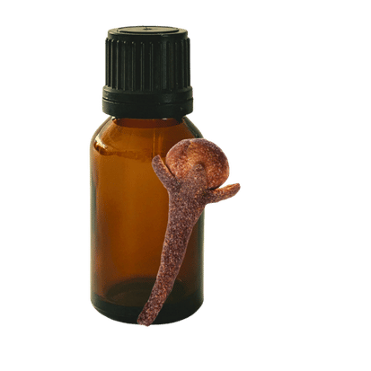 Clove Bud 10ml - Profound Naturals
