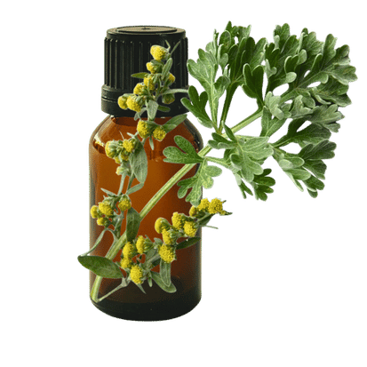 Davana 10ml - Profound Naturals