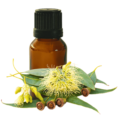 Euca Blue Mallee 10ml - Profound Naturals