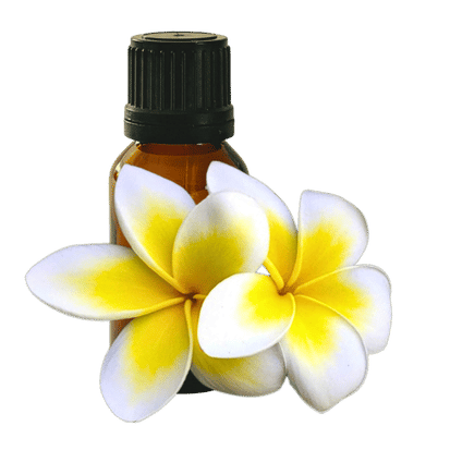 Frangipani 10ml - Profound Naturals