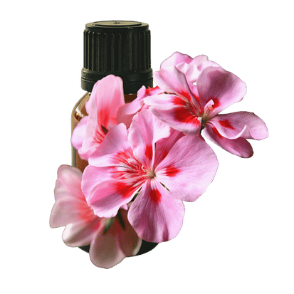 Geranium Bourbon 10ml - Profound Naturals