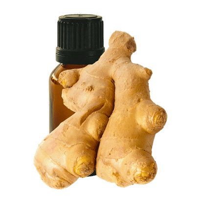 Ginger 10ml - Profound Naturals