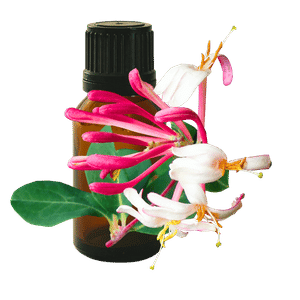 Honeysuckle 10ml - Profound Naturals