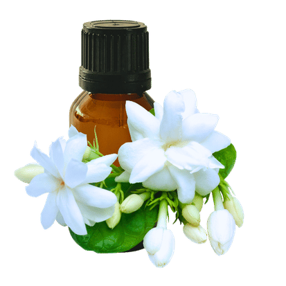 Jasmine 10ml - Profound Naturals