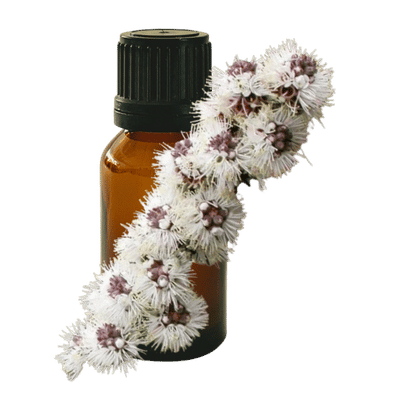 Kunzea 10ml - Profound Naturals