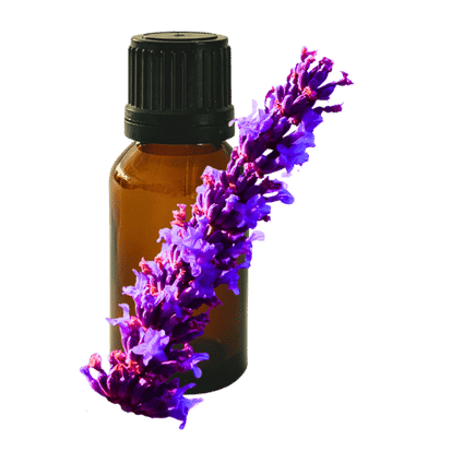 Lavandin Grosso 10ml - Profound Naturals