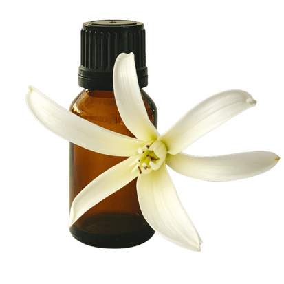 Magnolia (White Champaca) 10ml - Profound Naturals