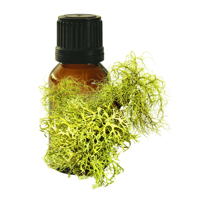 Oakmoss 10ml - Profound Naturals