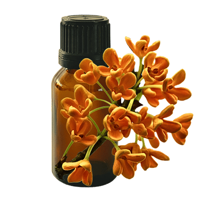 Osmanthus 10ml - Profound Naturals