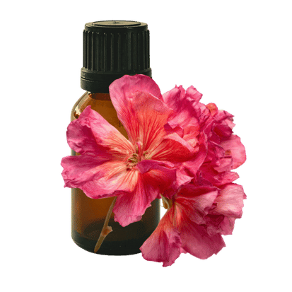 Rose Geranium 10ml - Profound Naturals