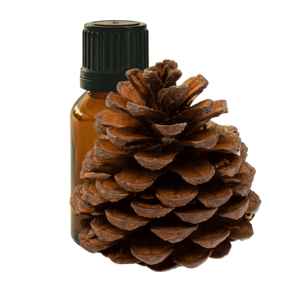 Scots Pine 10ml - Profound Naturals