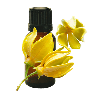 Ylang Ylang 1st 10ml - Profound Naturals