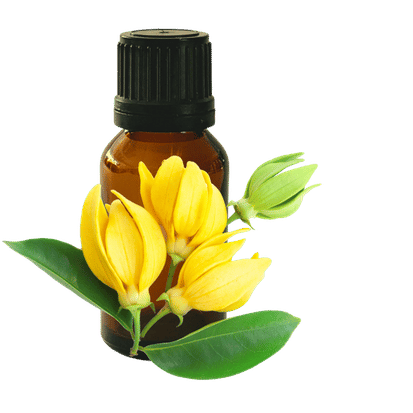Ylang Ylang 3rd 10ml - Profound Naturals
